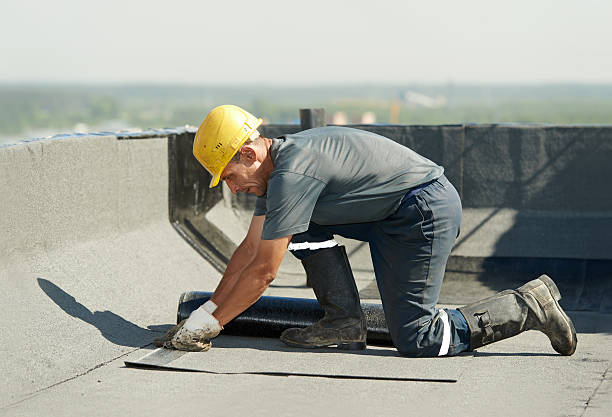 Best Specialized Insulation Services in Fort Mill, SC