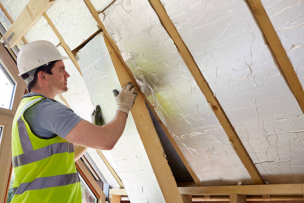 Best Geographic-Specific Insulation Services in Fort Mill, SC